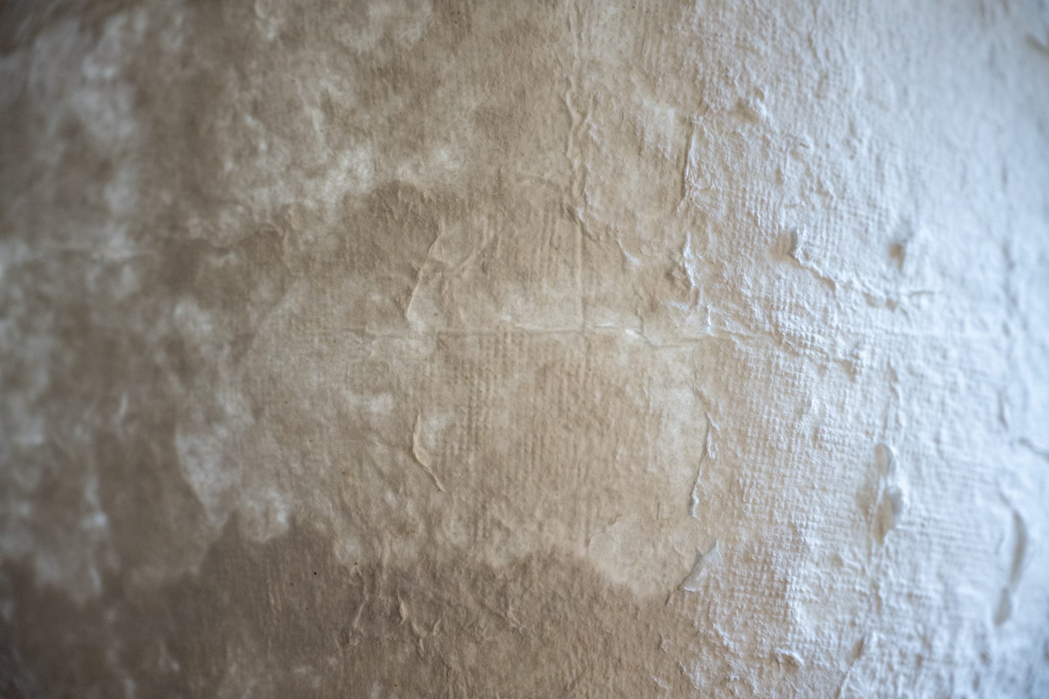 Washi 2.0 — image 27